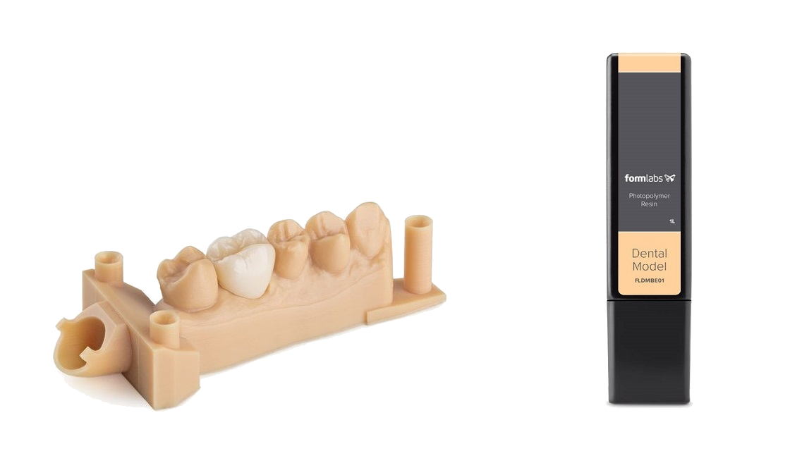 dental-model-resin